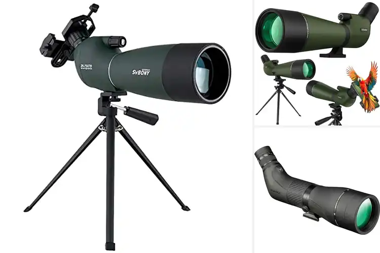 Detailed view of Best Spotting Scopes