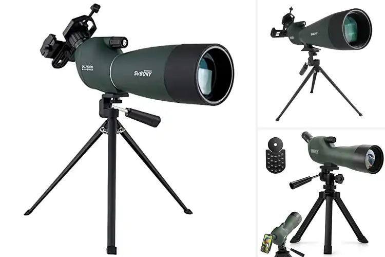 Detailed view of Best Target Shooting Scopes