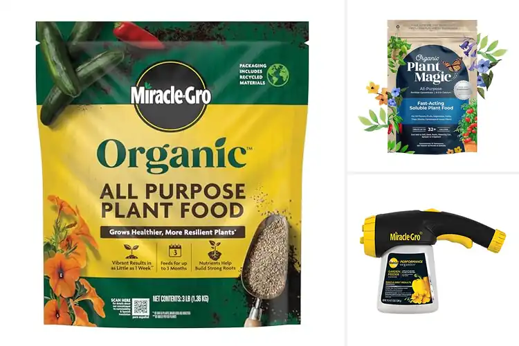 Detailed view of Best USDA Organic Garden Feeds: Top Picks for Natural Growth